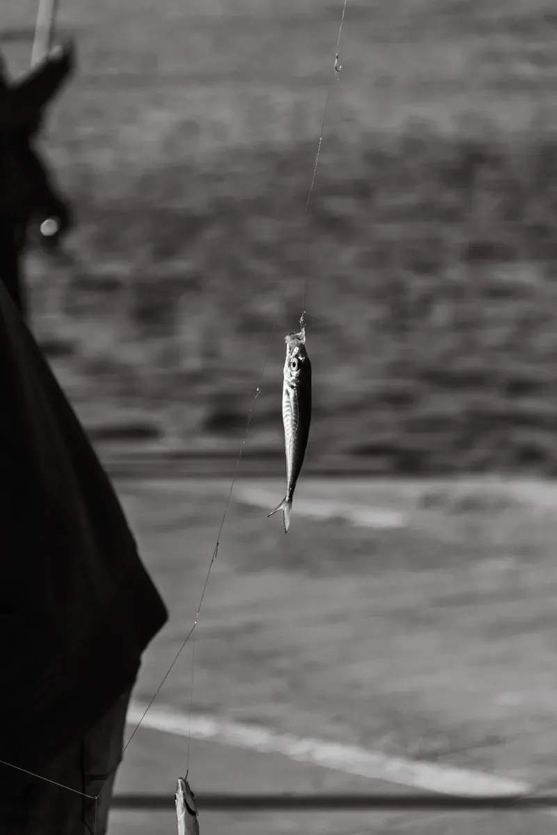 Alpenfisch & Outdoor GmbH 10