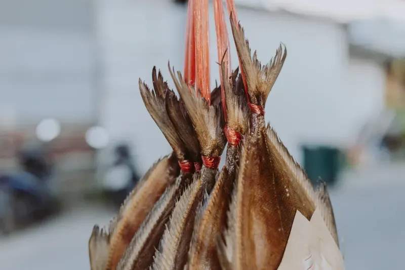 Alpenfisch & Outdoor GmbH 15