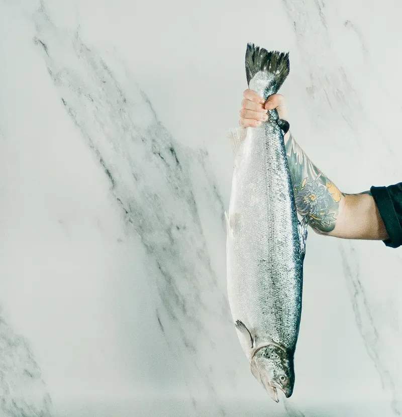 Alpenfisch & Outdoor GmbH 7